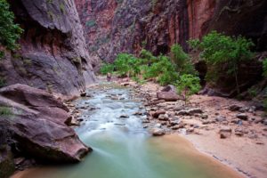 river, Rock, Zion, National, Park, Canyon, Utah