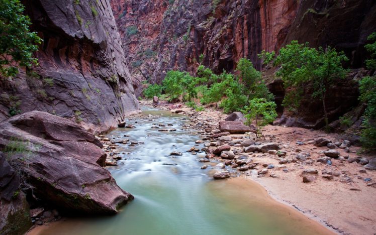 river, Rock, Zion, National, Park, Canyon, Utah HD Wallpaper Desktop Background