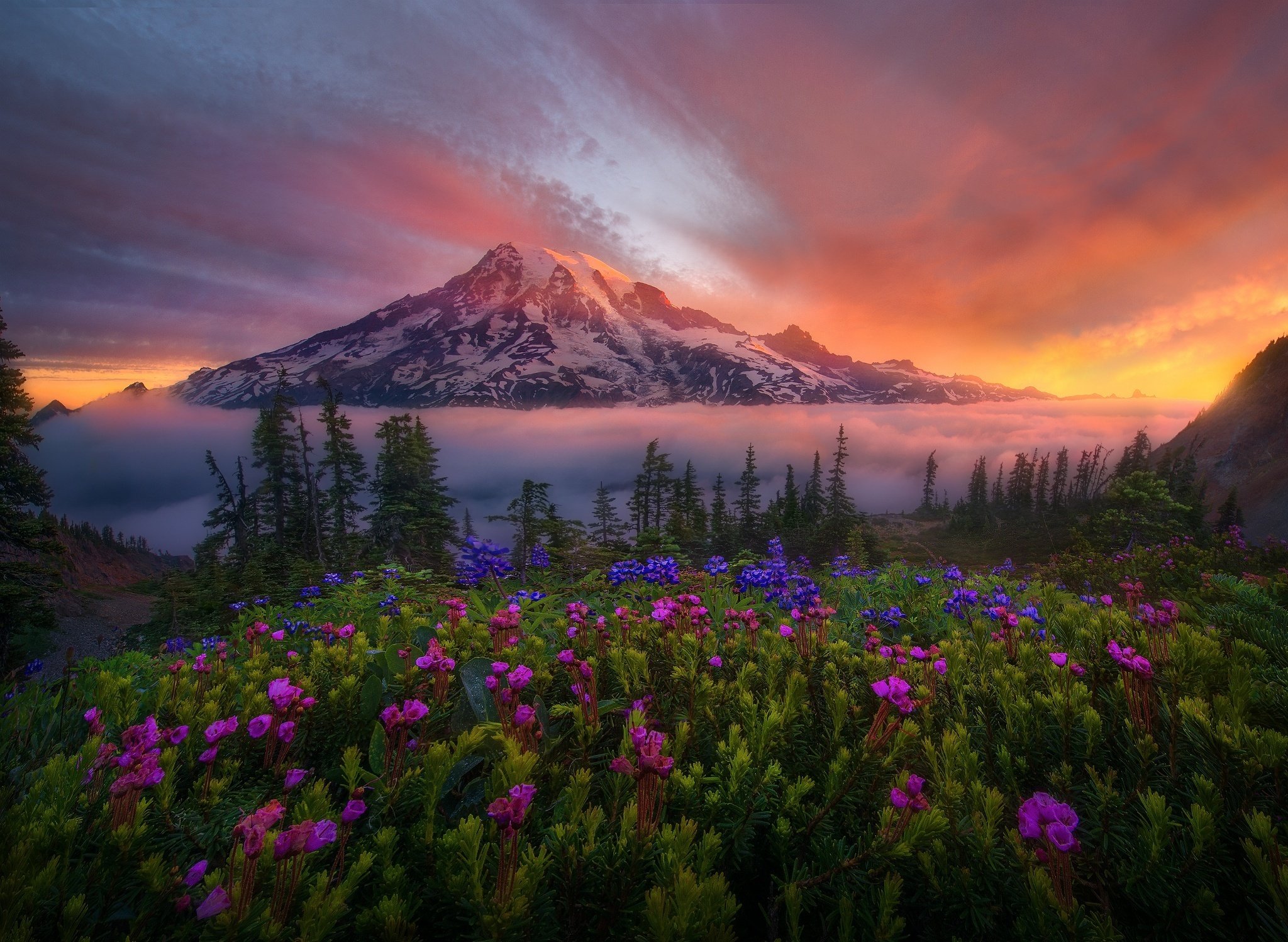 snow, Sunrise, Mountain, Flowers, Valley, Meadow Wallpaper