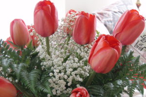 tulips, Bouquets, Red, Flowers