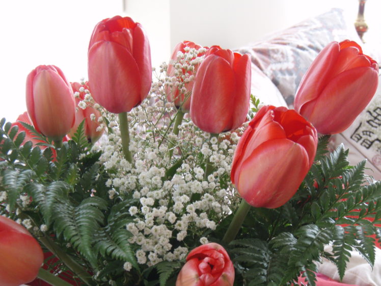 tulips, Bouquets, Red, Flowers HD Wallpaper Desktop Background