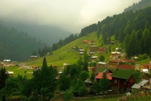 village, Rize, Nature, Turkey, Landscapes, Countryside, Nature, Mountains, Trees, Forest