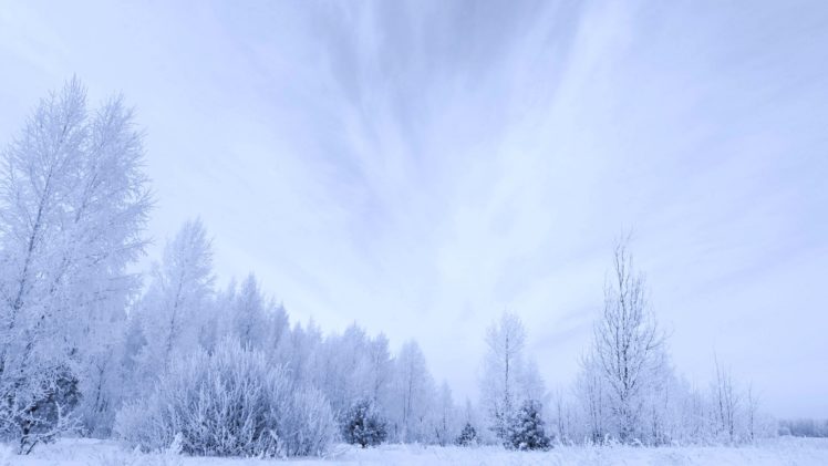 white, Winter, Trees, Snow, Sky, Clouds, Forest, Countryside, Landscapes, Nature, Earth HD Wallpaper Desktop Background
