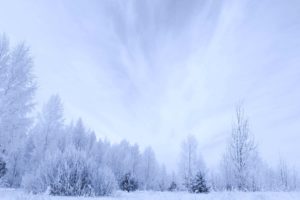 white, Winter, Trees, Snow, Sky, Clouds, Forest, Countryside, Landscapes, Nature, Earth