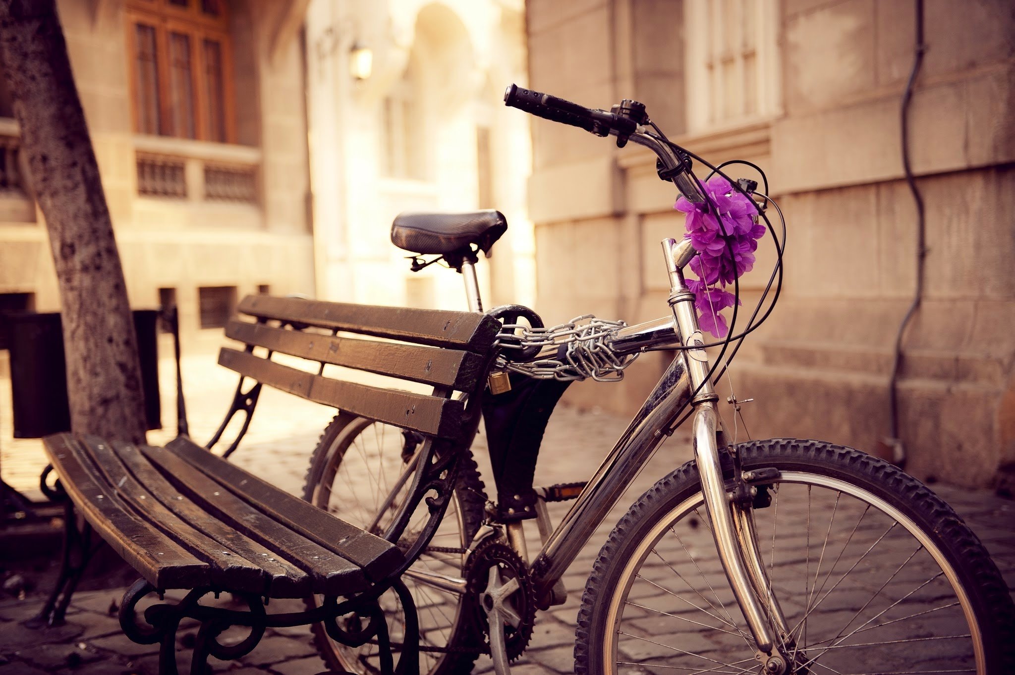 bike, Bench, Street, Chain, Flowers, City Wallpaper
