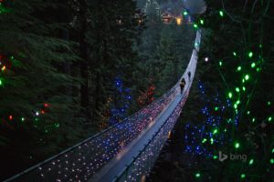 vancouver, British, Columbia, Canada, Capilano, British, Columbia, Canada, The, Suspension, Bridge, Bridge, Trees, Forest, Nature, Holiday, Lights, People, Landscape