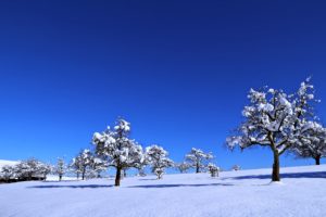 landscapes, Nature, Earth, Snow, Sky, Sunny, Blue, Trees, Cold, Winter, Countryside