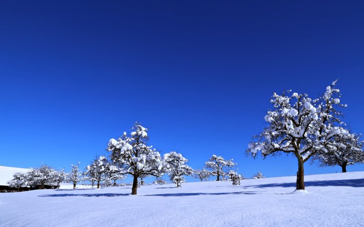landscapes, Nature, Earth, Snow, Sky, Sunny, Blue, Trees, Cold, Winter, Countryside HD Wallpaper Desktop Background