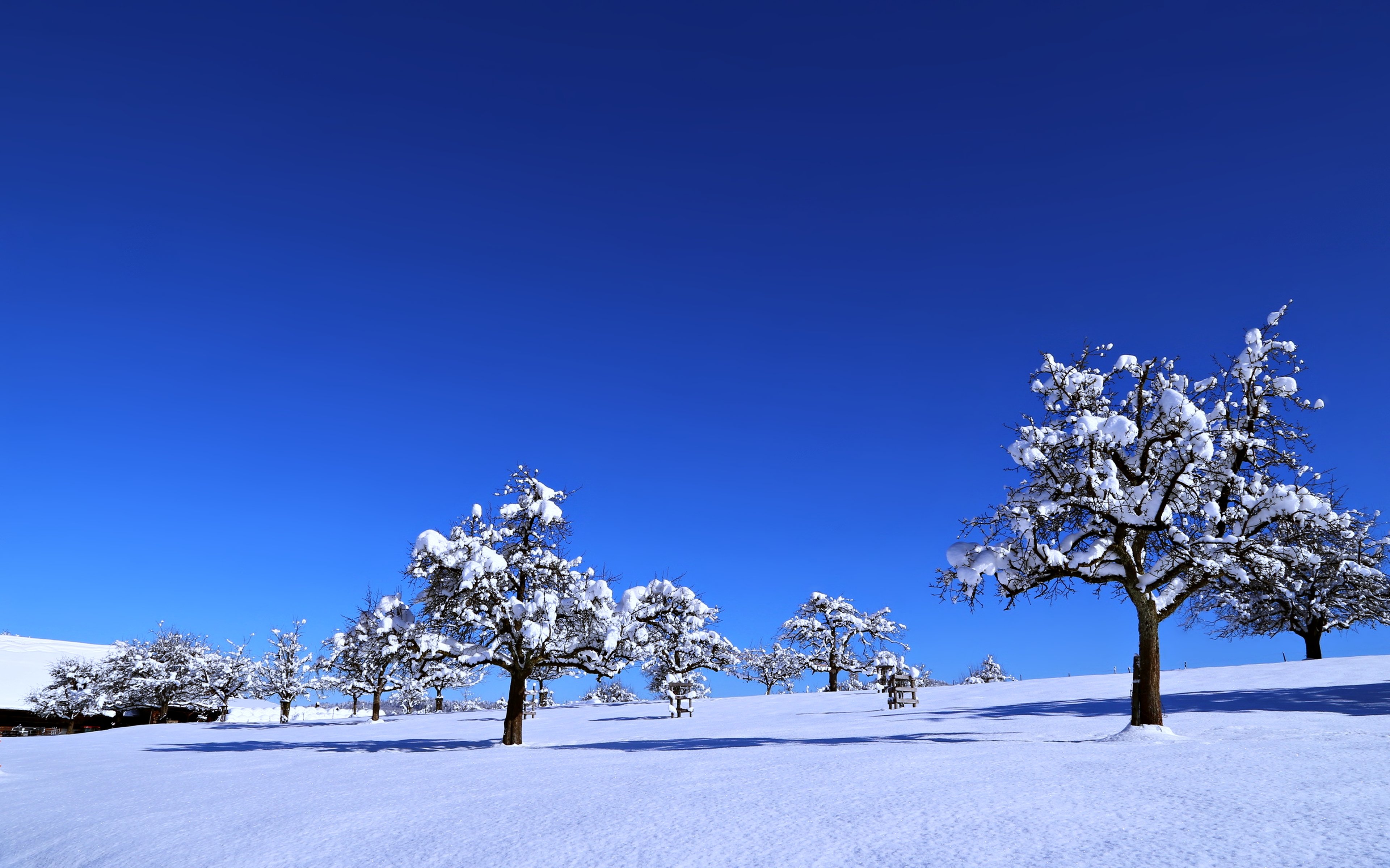 landscapes, Nature, Earth, Snow, Sky, Sunny, Blue, Trees, Cold, Winter, Countryside Wallpaper