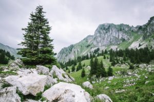 hills, Trees, Rocks, Stones, Green, Mountains, Landscapes, Nature, Earth, Cloudy, Forest