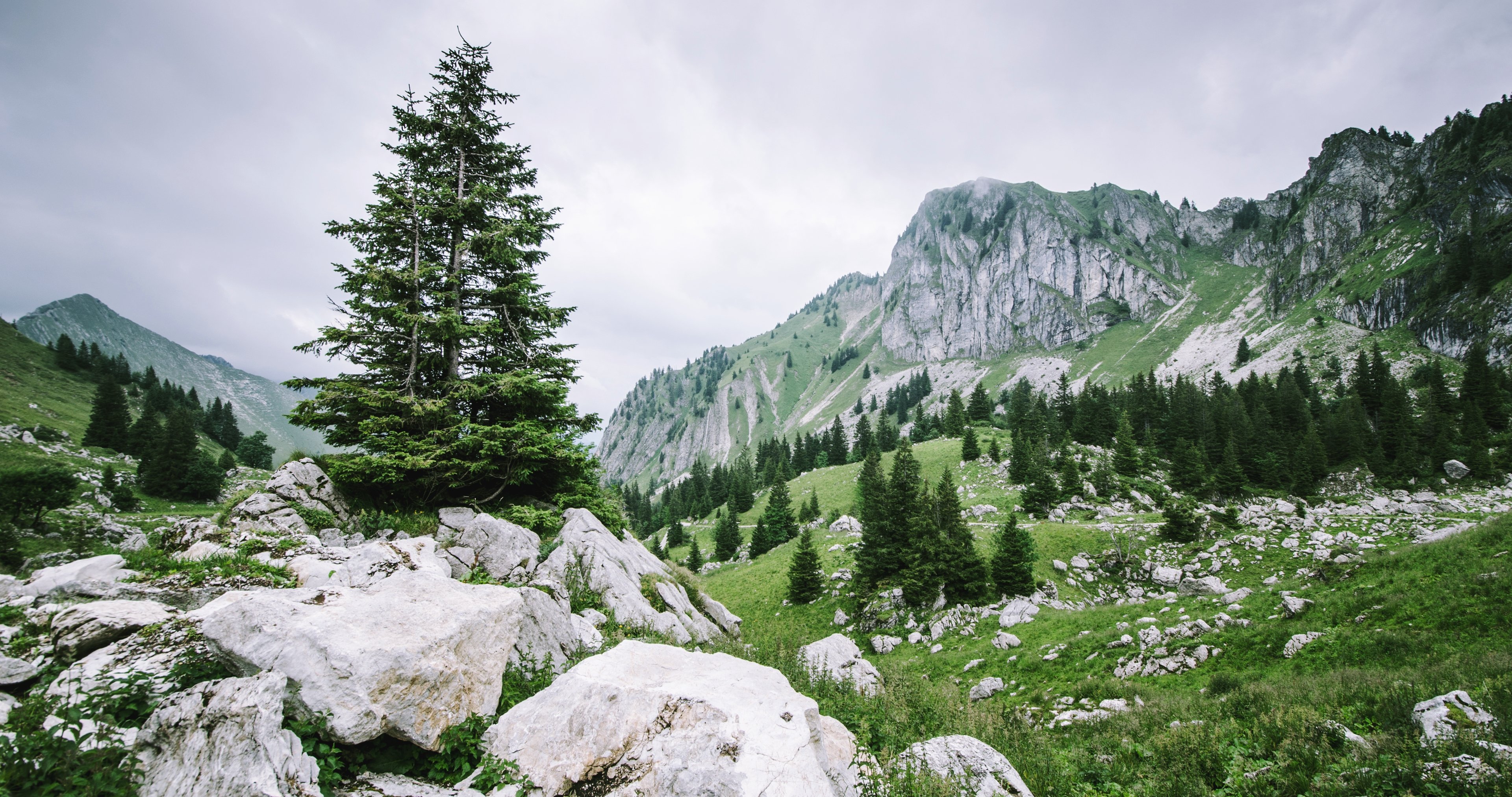 hills, Trees, Rocks, Stones, Green, Mountains, Landscapes, Nature, Earth, Cloudy, Forest Wallpaper