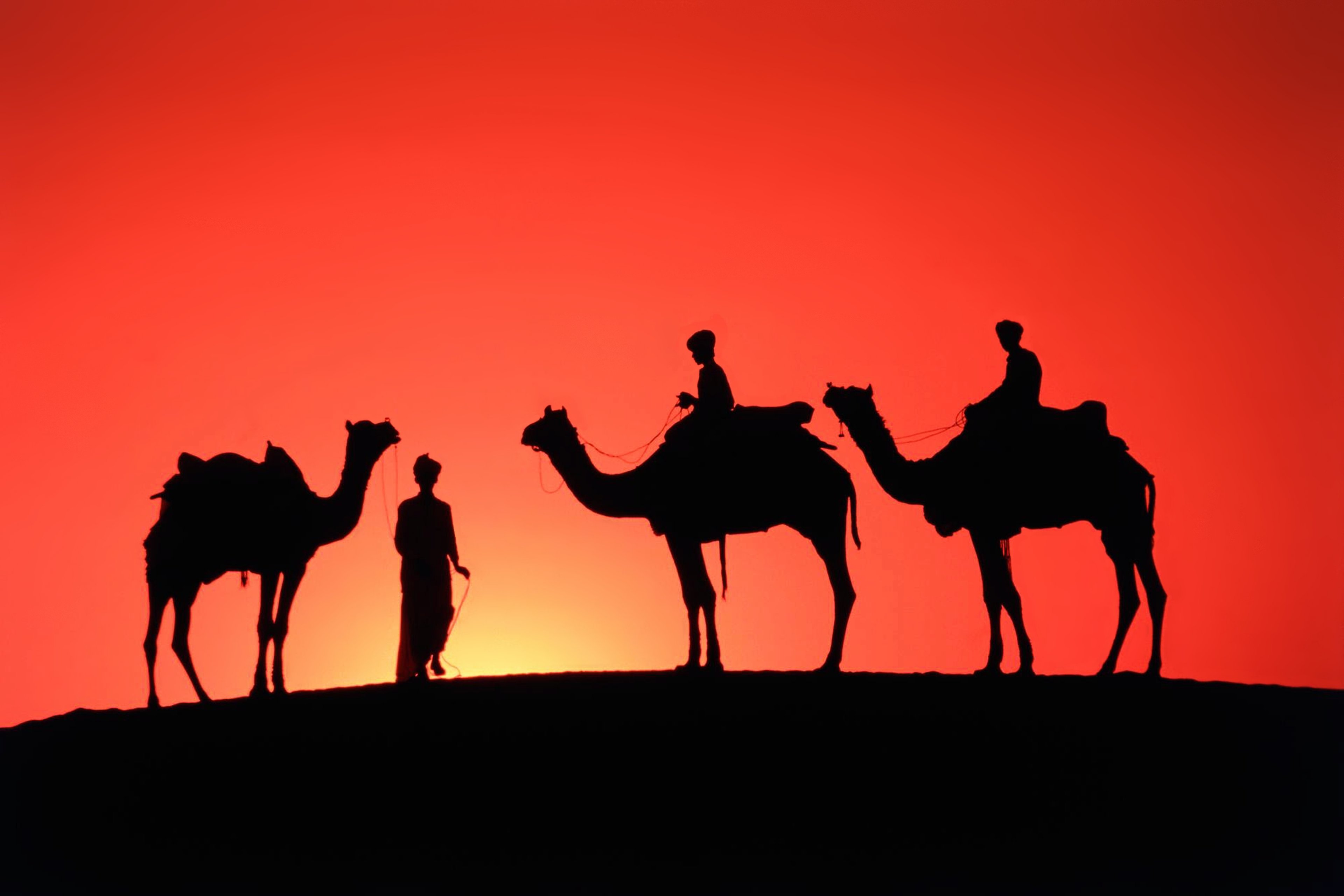 desert, Sand, Camels, People, Travel, Orange, Sunset, Emotions, Nature, Earth, Landscapes Wallpaper