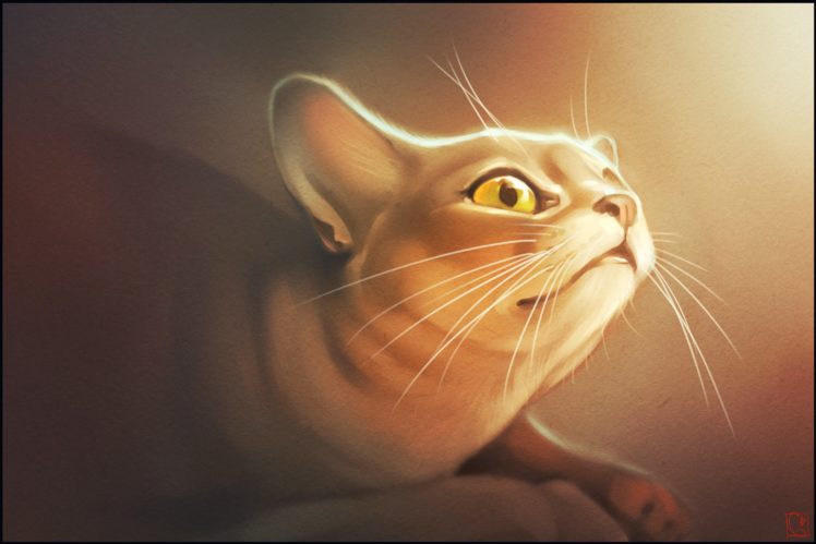 cat, Cats, Feline, Artwork, Art HD Wallpaper Desktop Background