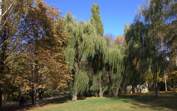 landscapes, Nature HD Wallpaper Desktop Background