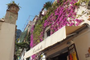 alley, Promenade, Plants, Flowers