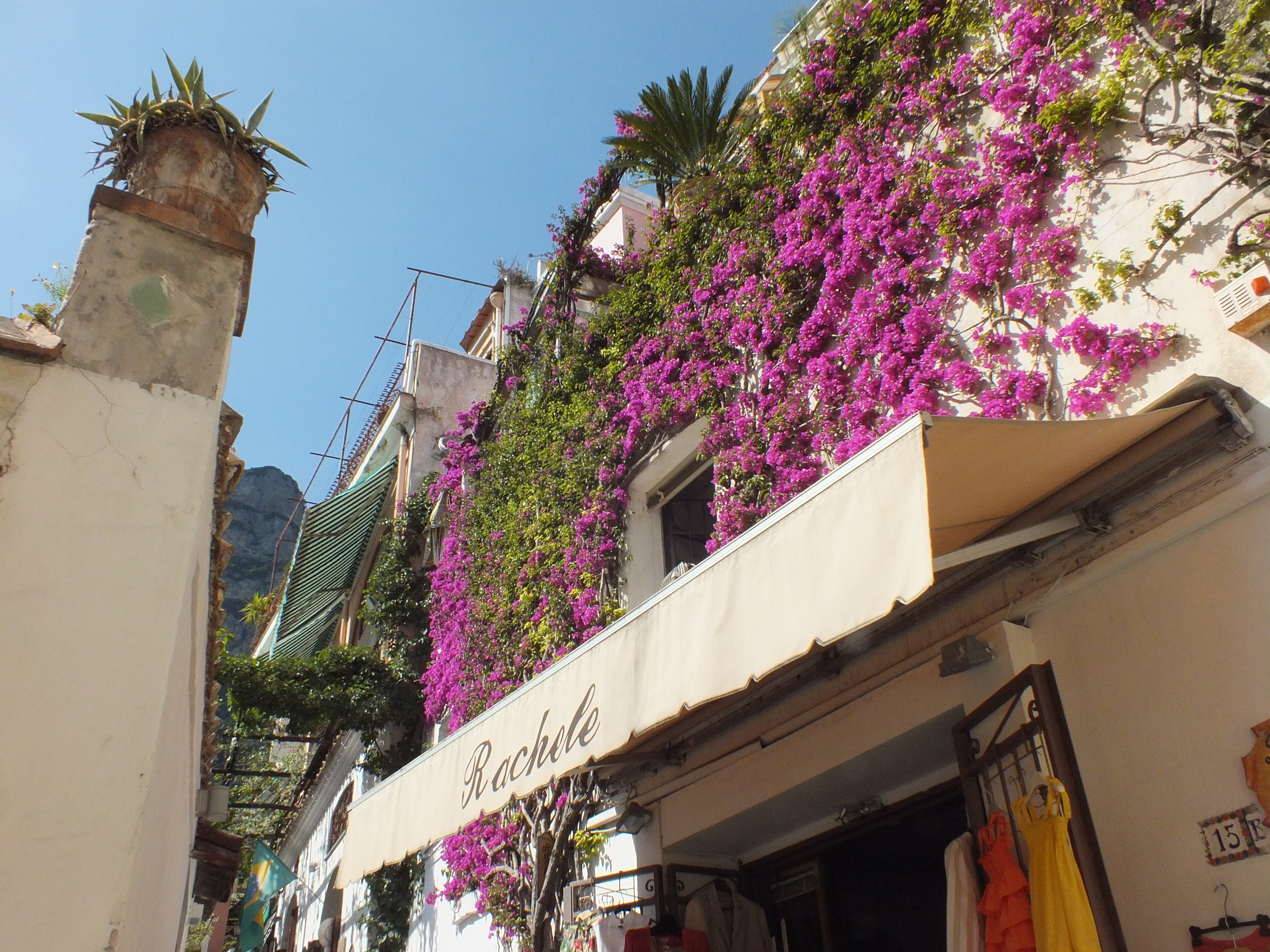 alley, Promenade, Plants, Flowers Wallpaper