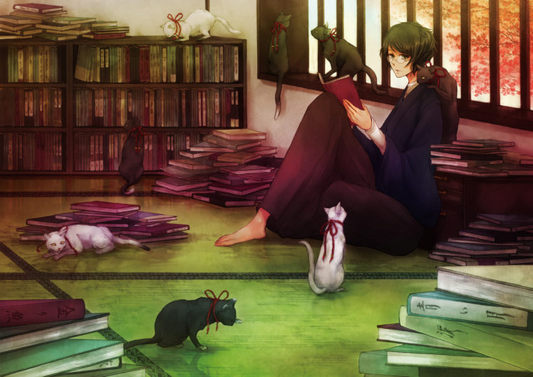 animal, Black, Hair, Book, Cat, Glasses, Green, Eyes, Japanese, Clothes, Male, Original, Ribbons HD Wallpaper Desktop Background