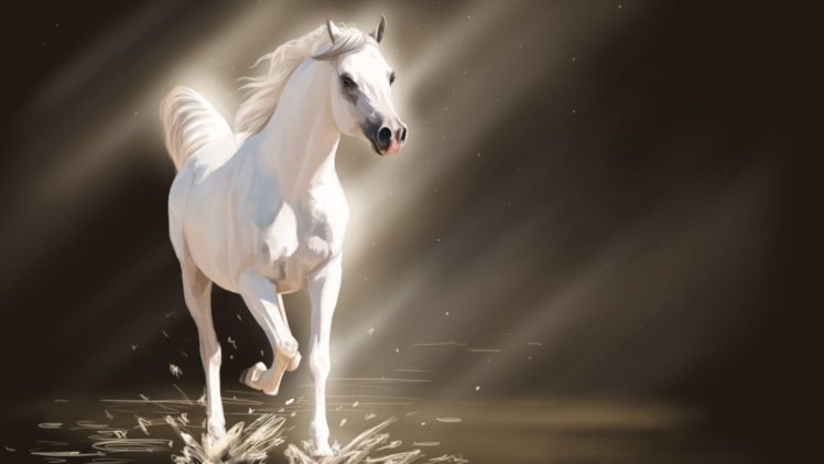 art, Spray, Horse, Light, Water, White, Horse HD Wallpaper Desktop Background