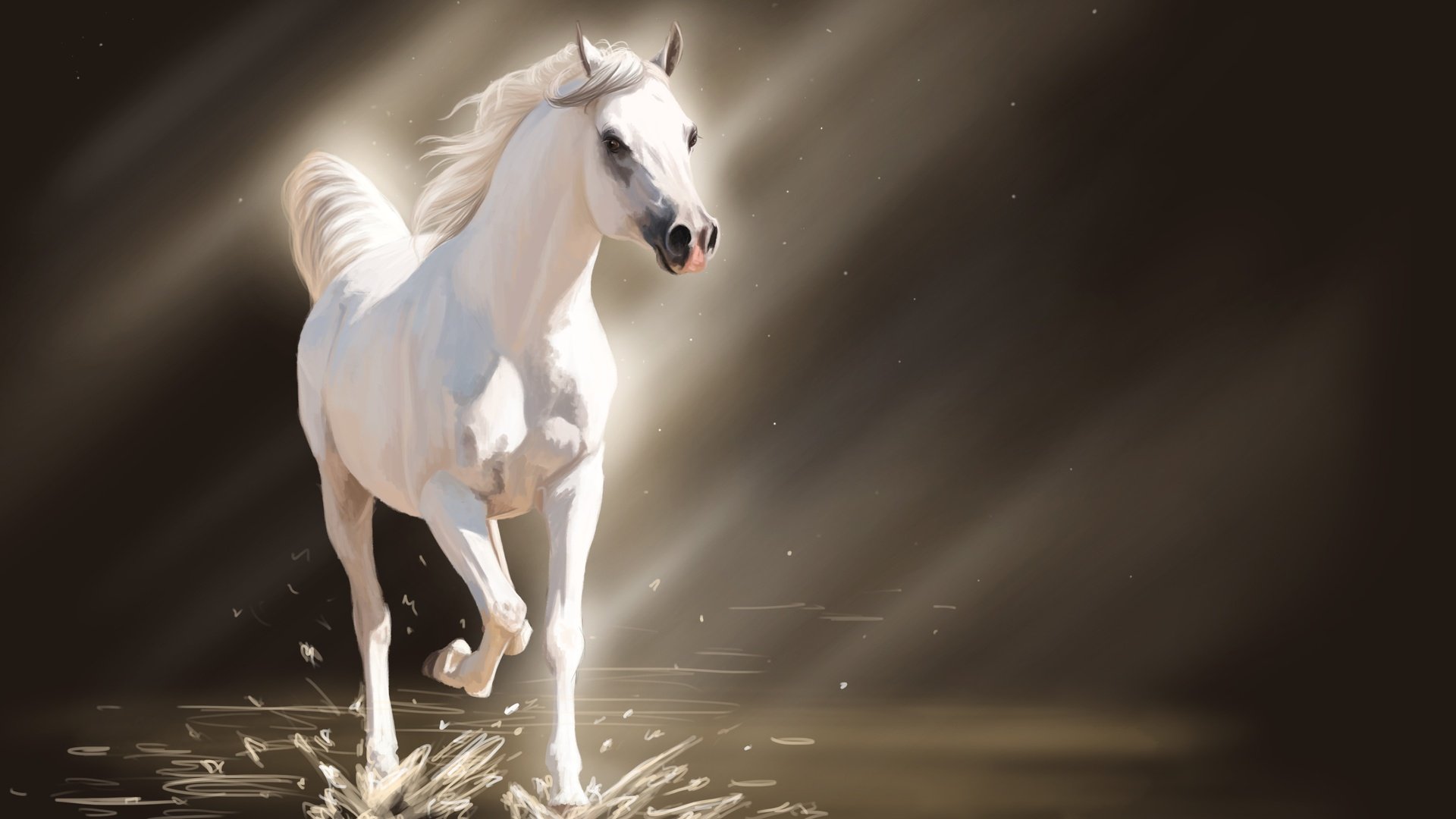 art, Spray, Horse, Light, Water, White, Horse Wallpaper