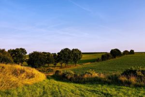 nature, Landscapes, Earth, Trees, Fields, Sky, Clouds, Sunny, Spring