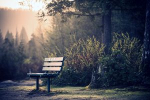 skamya, Park, Trees, Gardens, Chairs, Quiet, Relax, Alone, Nature, Landscapes, Earth