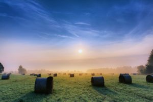sky, Clouds, Sunny, Morning, Sunrise, Fields, Grass, Fog, Nature, Earth, Landscapes, Countryside, Trees