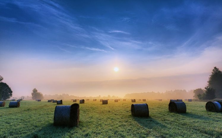 sky, Clouds, Sunny, Morning, Sunrise, Fields, Grass, Fog, Nature, Earth, Landscapes, Countryside, Trees HD Wallpaper Desktop Background