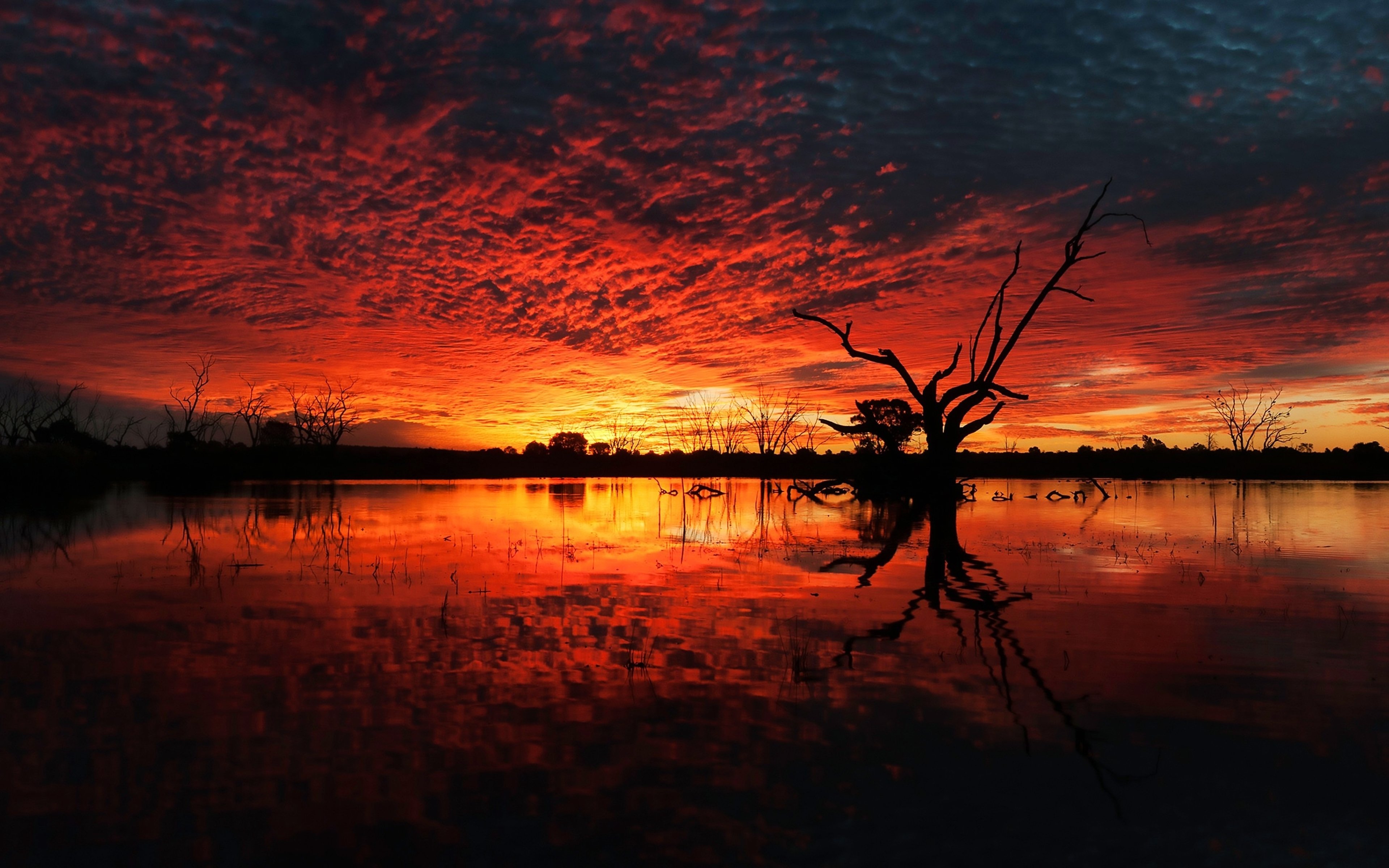 sunset, Lakes, Nature, Earth, Landscapes, Trees, Water, Clouds, Colors, Orange Wallpaper