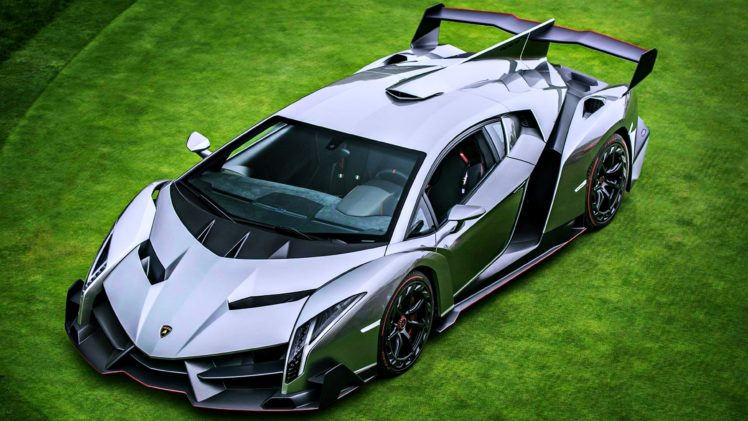lamborghini, Veneno, Venenno, Grass, Green, Cars, Supercars, Motors, Speed, Silver, Gray HD Wallpaper Desktop Background