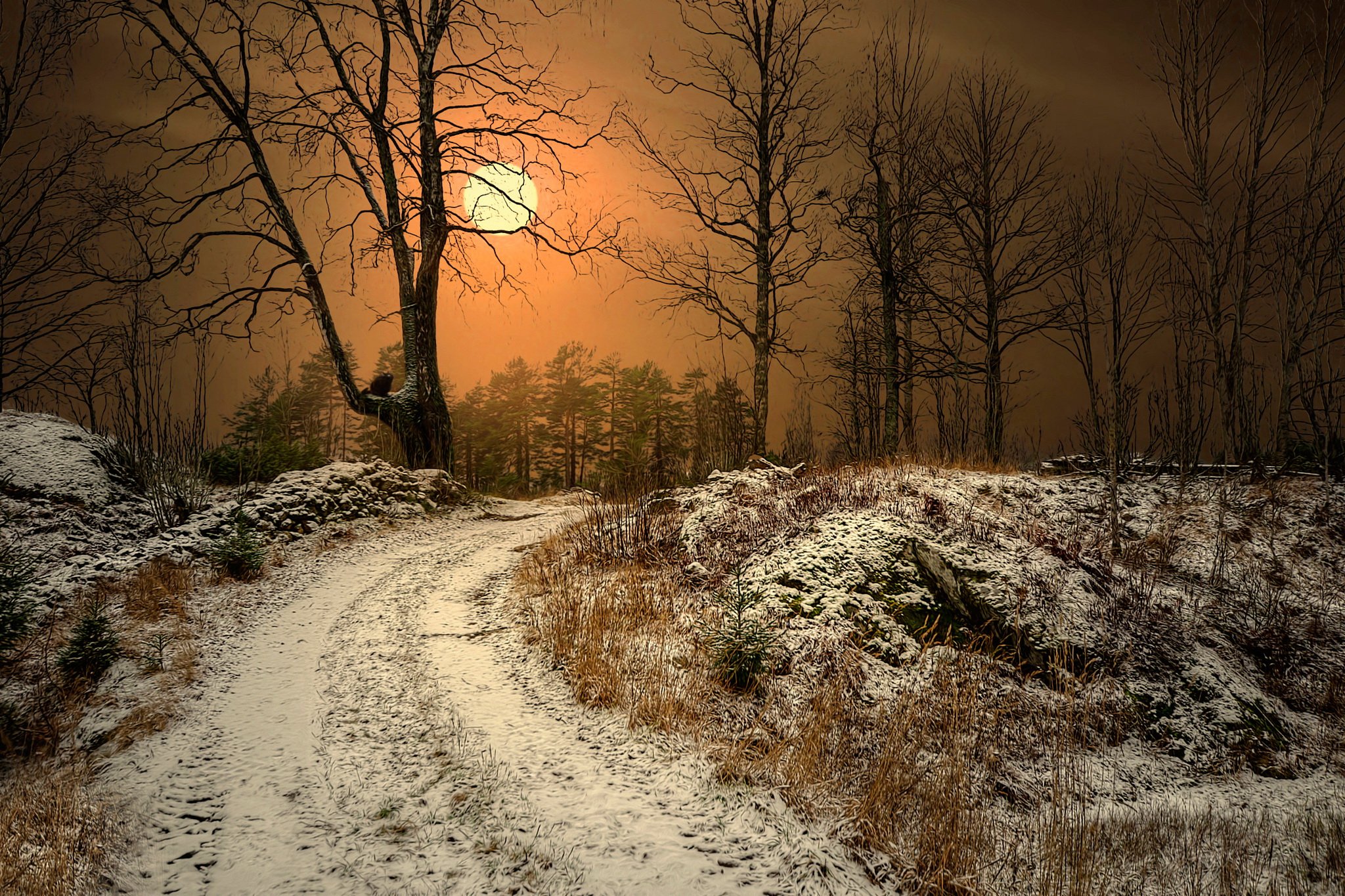 landscapelandscape, Nature, Tree, Forest, Woods, Nature, Tree, Forest, Woods, Winter, Road Wallpaper
