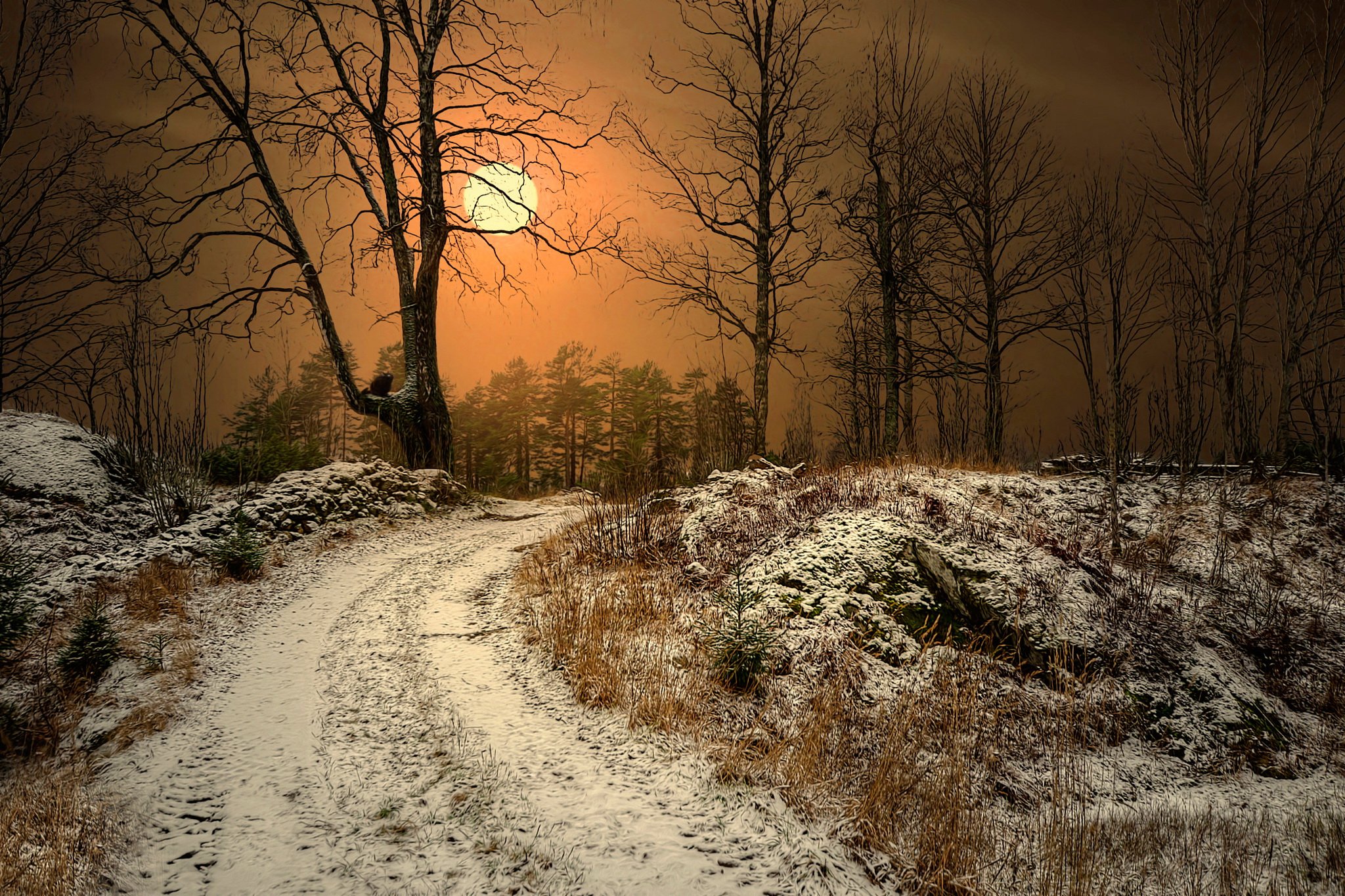 Поздним вечером поздней весной. Ранняя зима. Поздняя осень. Поздняя зима. Поздняя осень в лесу.