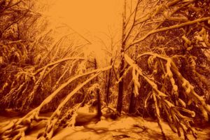 landscape, Nature, Tree, Forest, Woods, Winter, Sepia