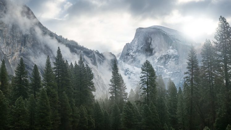 landscape, Nature, Tree, Forest, Woods, Mountain, Winter, Snow HD Wallpaper Desktop Background