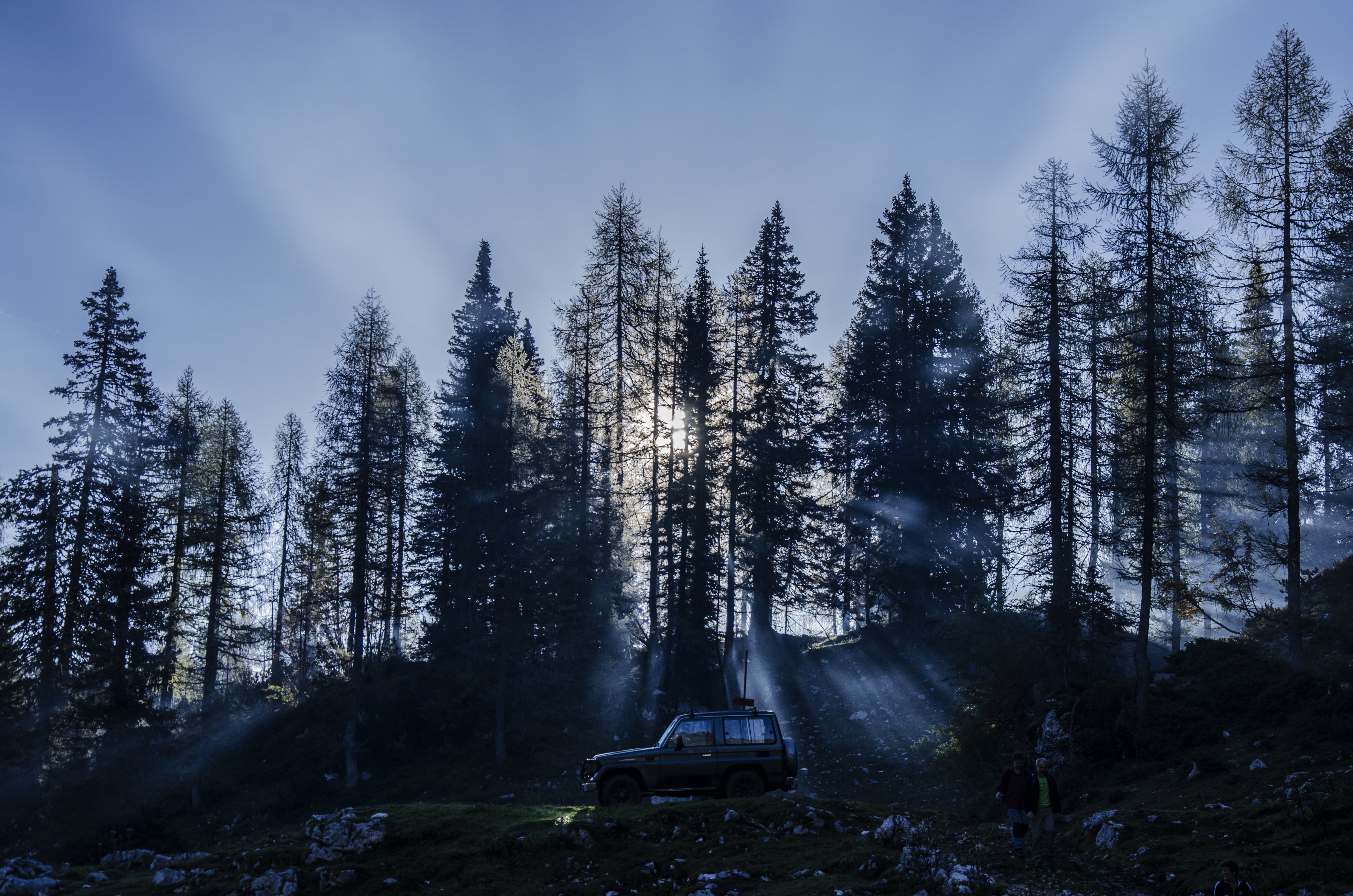 landscape, Nature, Tree, Forest, Woods, Winter, Moon Wallpaper