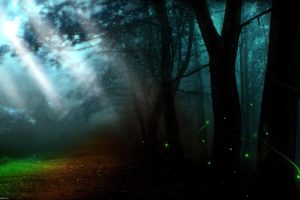 landscape, Nature, Tree, Forest, Woods, Artwork, Firefly