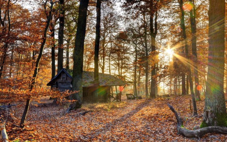 landscape, Nature, Tree, Forest, Woods, Autumn, Rustic, Cabin HD Wallpaper Desktop Background