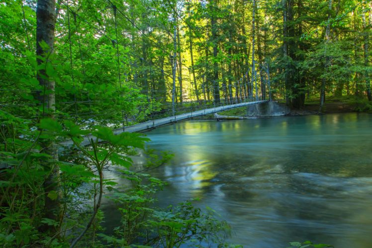 landscape, Nature, Tree, Forest, Woods, River HD Wallpaper Desktop Background