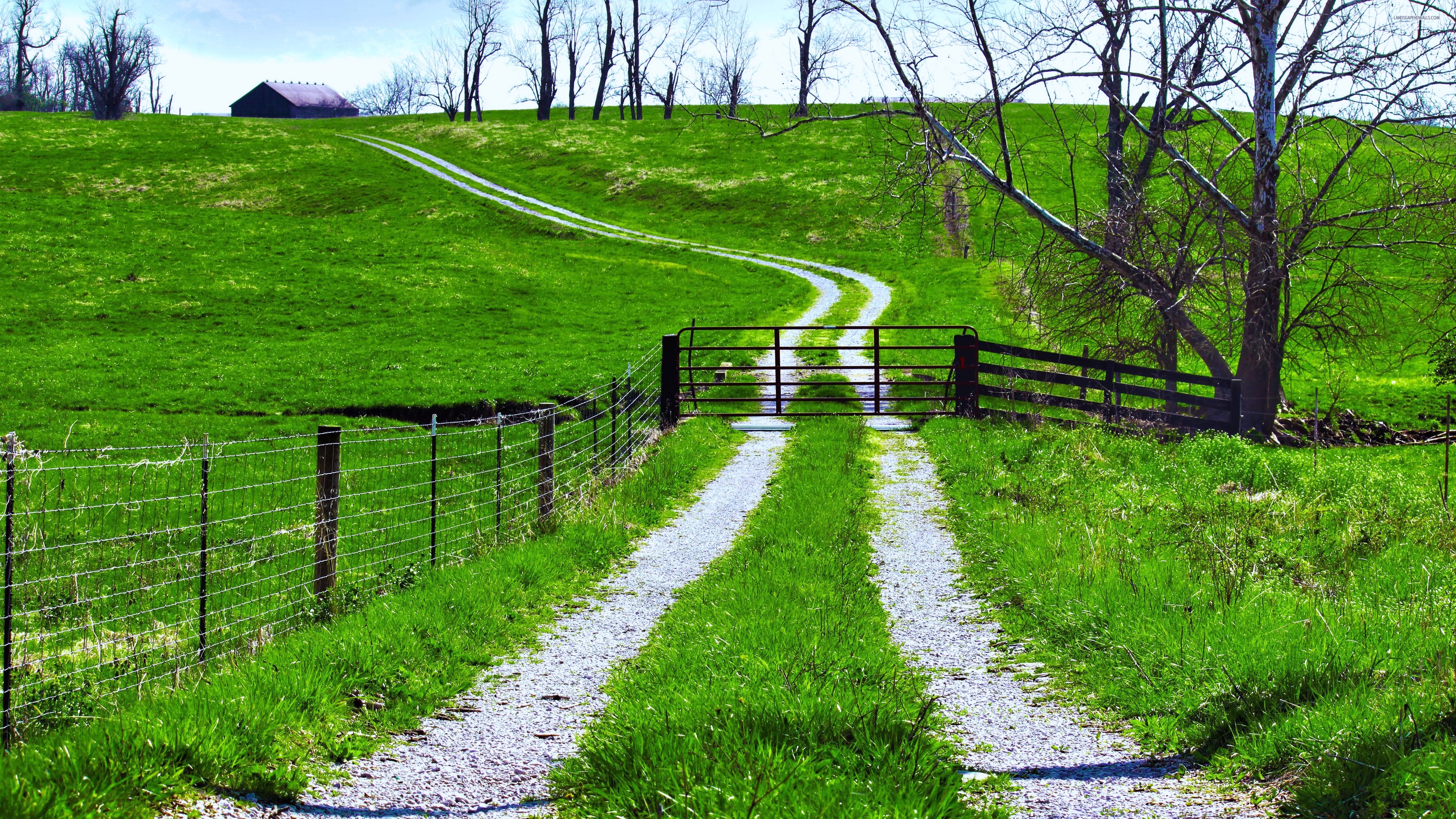 way, Path, Road, Green, Fields, Trees, Landscapes, Nature, Earth, Countryside, House Wallpaper