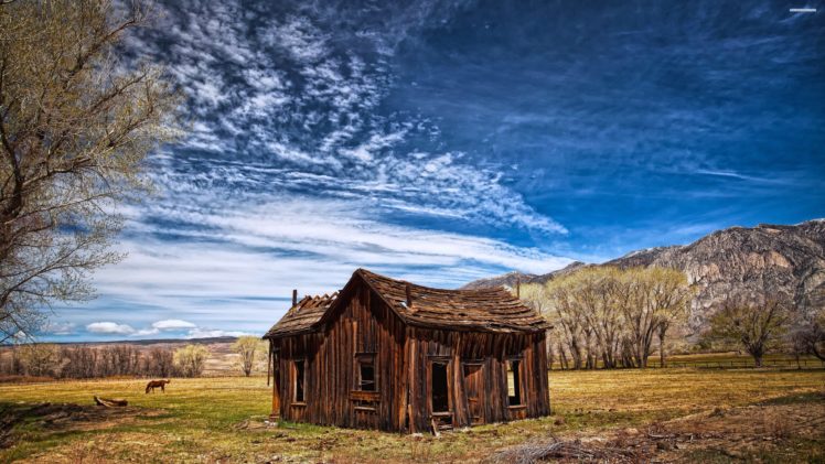 house, Summer, Trees, Jungle, Forest, Countryside, Huts, Landscapes, Nature, Earth, Hills, Sky, Clouds, Blue, Horse, Farms HD Wallpaper Desktop Background