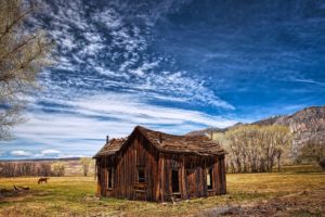 house, Summer, Trees, Jungle, Forest, Countryside, Huts, Landscapes, Nature, Earth, Hills, Sky, Clouds, Blue, Horse, Farms