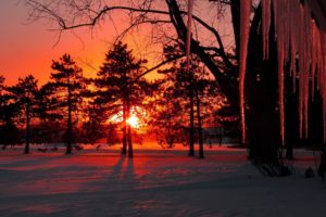 sun, Sunset, Snow, Trees, Icicles, Winter