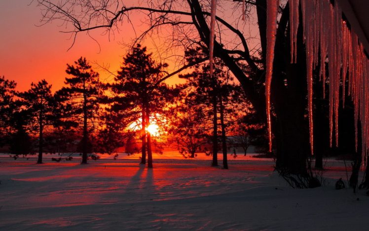 sun, Sunset, Snow, Trees, Icicles, Winter HD Wallpaper Desktop Background