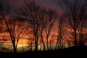 sunset, Twilight, Night, Trees, Nature, The, Sky, The, Silhouettes, Of