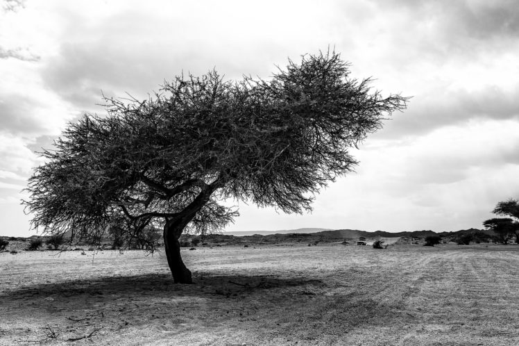 desert, Africa, Sand, Storms, Cars, Hills, Stones, Sky, Clouds, Hoggar, Algeria, Old HD Wallpaper Desktop Background