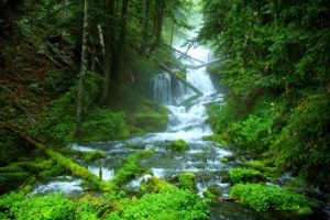 landscape, Nature, Tree, Forest, Woods, River, Waterfall