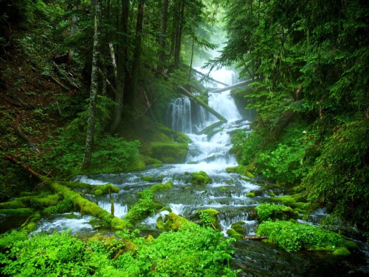 landscape, Nature, Tree, Forest, Woods, River, Waterfall HD Wallpaper Desktop Background