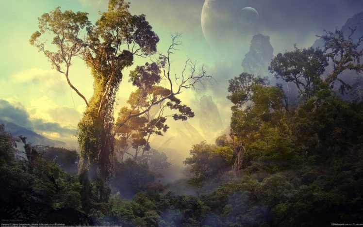 landscape, Nature, Tree, Forest, Woods, Artwork HD Wallpaper Desktop Background