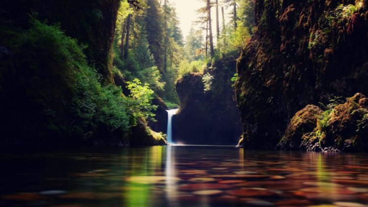 landscape, Nature, Tree, Forest, Woods, Waterfall, River HD Wallpaper Desktop Background