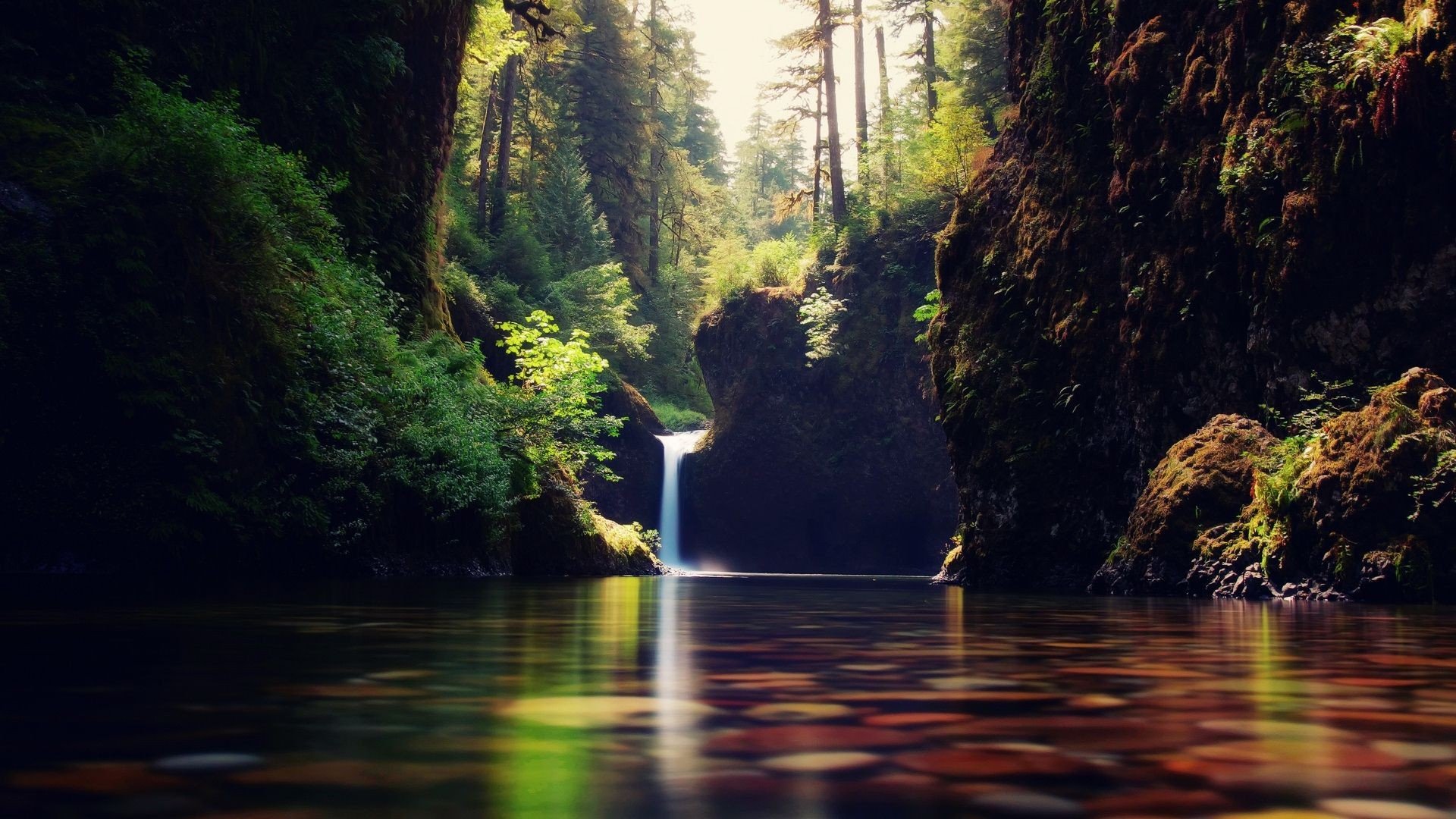 landscape, Nature, Tree, Forest, Woods, Waterfall, River Wallpaper