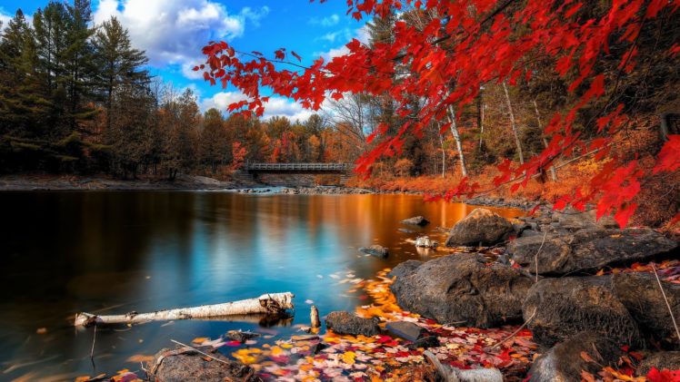 landscape, Nature, Tree, Forest, Woods, Autumn, Lake HD Wallpaper Desktop Background